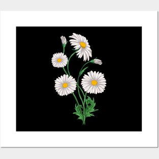 Daisies Chamomile & Marguerites Bouquet Retro Daisy Flower Posters and Art